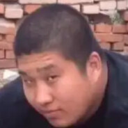 把我的压力当狗叫