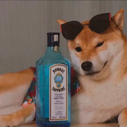 她说为了中非友谊