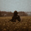thecoldsun