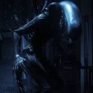 Xenomorph