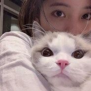 我是MiSide大高手