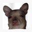 I have no friends