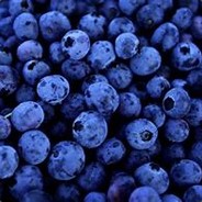 CT 4576 Berry