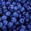 Blueberry The Danish
