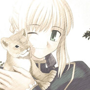 saber（抱着小狮子