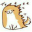 donggua冬瓜不会玩