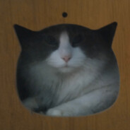 寡妇床底下的少年郎