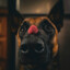 Annie &lt;3