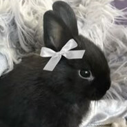 marssshmallow