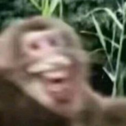 你也网上冲浪吗