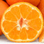 NotYourClementine