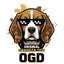 OGD