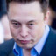 Fat Elon Muskat