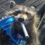 XLTrashPanda446