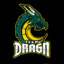 DRAGON TEAM WeR_Stim