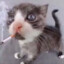 Gatino Sigarino