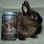 b3rrybunny