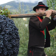 Man with big grape