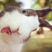 专心学术说的就是我