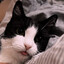 Leke