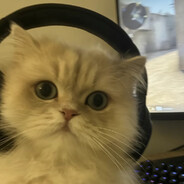 宇宙无敌番茄大魔王