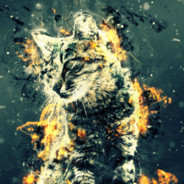 [F2N]Nomand125® - steam id 76561198066299903