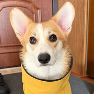 AleksiB - steam id 76561198330614905