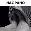 дядя-шофер