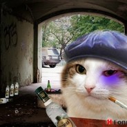 GGDROP.COM KotNarkot