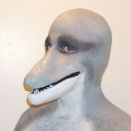 Dolphin avatar