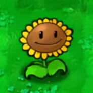 邪恶的向日葵66