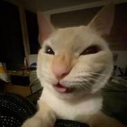 katsukex