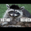 писюн