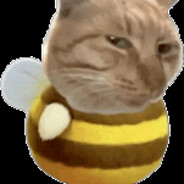 [CCF]转生成为狗魔王(键鼠版)