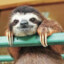 Sloth
