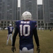 青青草原骚羊羊