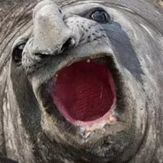 Pepos