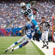 Andersson farmskins.com