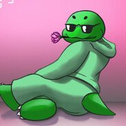 TurtleDuD