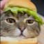 Weks (BURGER CAT)
