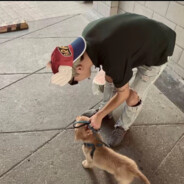 想在十点前睡觉