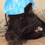 Dentalham