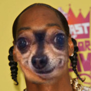 DeGevoerdeHond Steam avatar