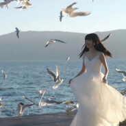 我也不是擅长做梦