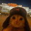 Avatar of prohacker当心