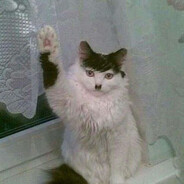 Adolf Kitler