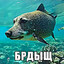 БРДЫЩ
