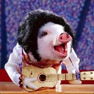 素质教育漏网之鱼