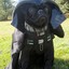 vaderpug21