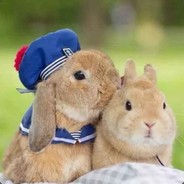 dudu君快来开锦标